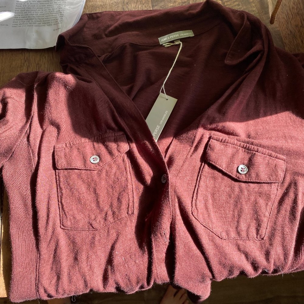 Rust colored Sheer Slub Side Panel Shirt